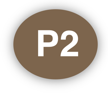 Singapore Sikh Education Foundation